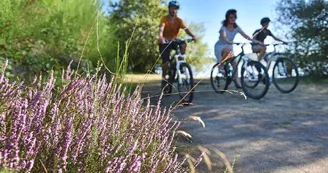 VTT à Vassivière-dépt.23