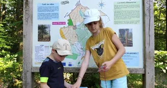Course d'orientation dans la Forêt des Allois