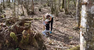 Parcours d’orientation de la forêt communale des Allois près de Saint Léonard de Noblat