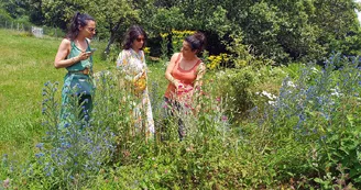 Jardin d'Arrel (20)