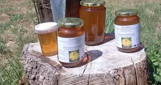 Miel de la Forge des Centaures