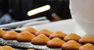 madeleine
