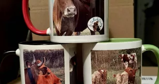 Ferme de la vallée des vaches