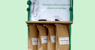 Plantes aromatiques et médicinales locales - Les Herbes d'Airmed