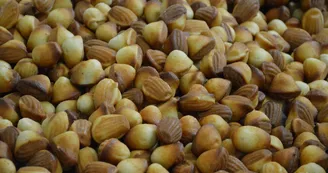 madeleines