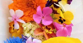 IMG_20240617_150806_077
