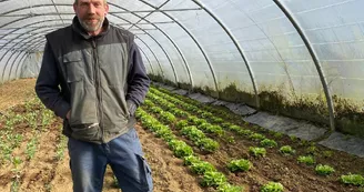 Ferme Le Petit Haricot - Vayres