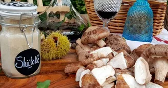 Champignons-de-Gaudeix
