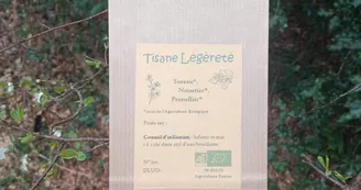 Damedesbois