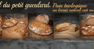 Fournil du petit gueulard à Château-Chervix_1