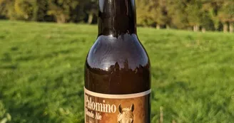 palomino