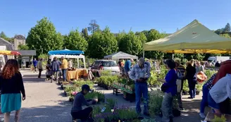 Marché aux fleurs Eymoutiers 2025