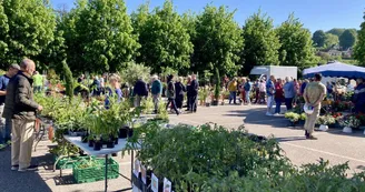 Marché aux fleurs Eymoutiers 2025
