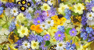 Fête des Plantes, du Jardin et de la Nature