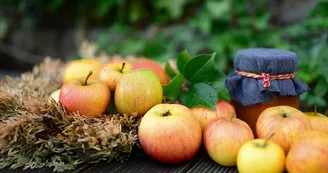 apples-5543778_1280