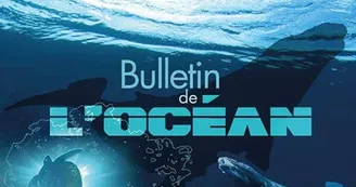 Visuel_expo_Bulletindelocean
