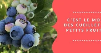 Bannière facebook - 1