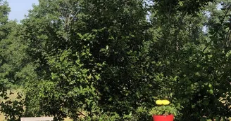 prendre une boisson sous les arbres à la ferme de fardissou
