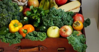fruit-1