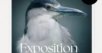 Expo Laetitia-LARQUIER