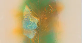 Tetsumi Kudo, Fossil in Hiroshima, 1976. Collection Artothèque