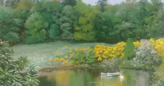 Genêts en fleurs - Pastel Genêts en fleurs - Pastel