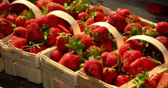 image-fraise