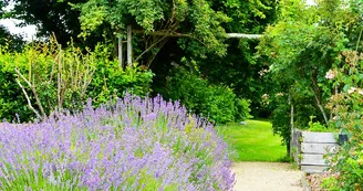 Jardin de l'An Mil - Rilhac-Lastours 