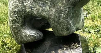 Le Grizzli des landes