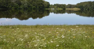 LAURIERE Lac du  Pont à l'âge