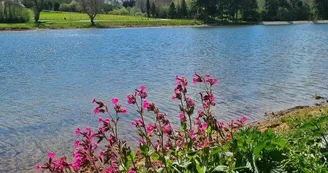 Etang de Riffataire