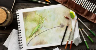 Exposition aquarelle