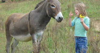 Ane enfant
