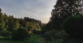 Meublé le Ranch de Vassivière - environnement