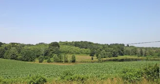 Gite" La Feuillardière" à Champagnac La Riviere en Haute-Vienne_37
