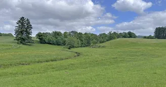 Gîte 'Le loup de Chabannes' à Compreignac en Haute-Vienne (Nouvelle Aquitaine) - vue de la terrasse_5 Gîte 'Le loup de Chabannes' à Compreignac en Haute-Vienne (Nouvelle Aquitaine) - vue de la terrasse_5