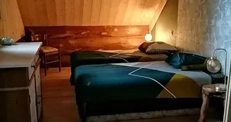 chambre" grenouille fraise"