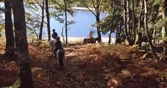 Meublé de tourisme Vassivière à Cheval_2
