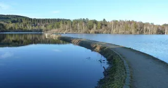 Meublé de tourisme Leroy Emmanuelle_15