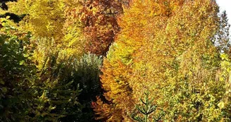 parc en automne_43
