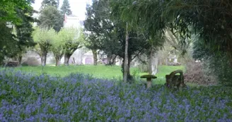 le parc au printemps_39
