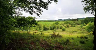 le paysage _49 le paysage _49