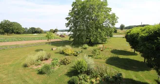Vue sur le jardin maraicher_26