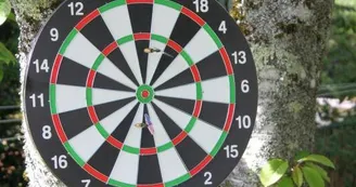 ...de jeu de fléchettes_37 ...de jeu de fléchettes_37