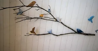 Le Bois de Saint Auvent, les oiseaux d'intérieur..._27 Le Bois de Saint Auvent, les oiseaux d'intérieur..._27