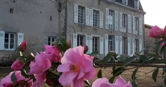 Vive le Printemps au Masbareau, Chambres et Table d'Hôtes de Charme à Royères Haute-Vienne Limousin Nouvelle Aquitaine_42 Vive le Printemps au Masbareau, Chambres et Table d'Hôtes de Charme à Royères Haute-Vienne Limousin Nouvelle Aquitaine_42