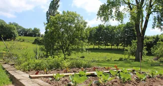 Le potager pour la table d'Hôtes des Chambres d'hôtes de Charme "Le Masbareau" à Royères en Haute-Vienne limousin (Nouvelle Aquitaine)_37 Le potager pour la table d'Hôtes des Chambres d'hôtes de Charme "Le Masbareau" à Royères en Haute-Vienne limousin (Nouvelle Aquitaine)_37
