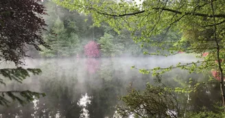 Château de Bort à Saint Priest Taurion en Haute-Vienne (Nouvelle Aquitaine) - Etang_63