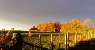 paysage