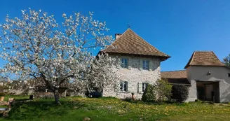 Le cerisier en fleurs._44 Le cerisier en fleurs._44